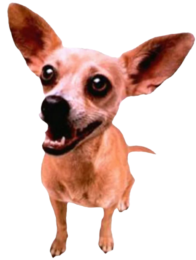 tacoBellDog